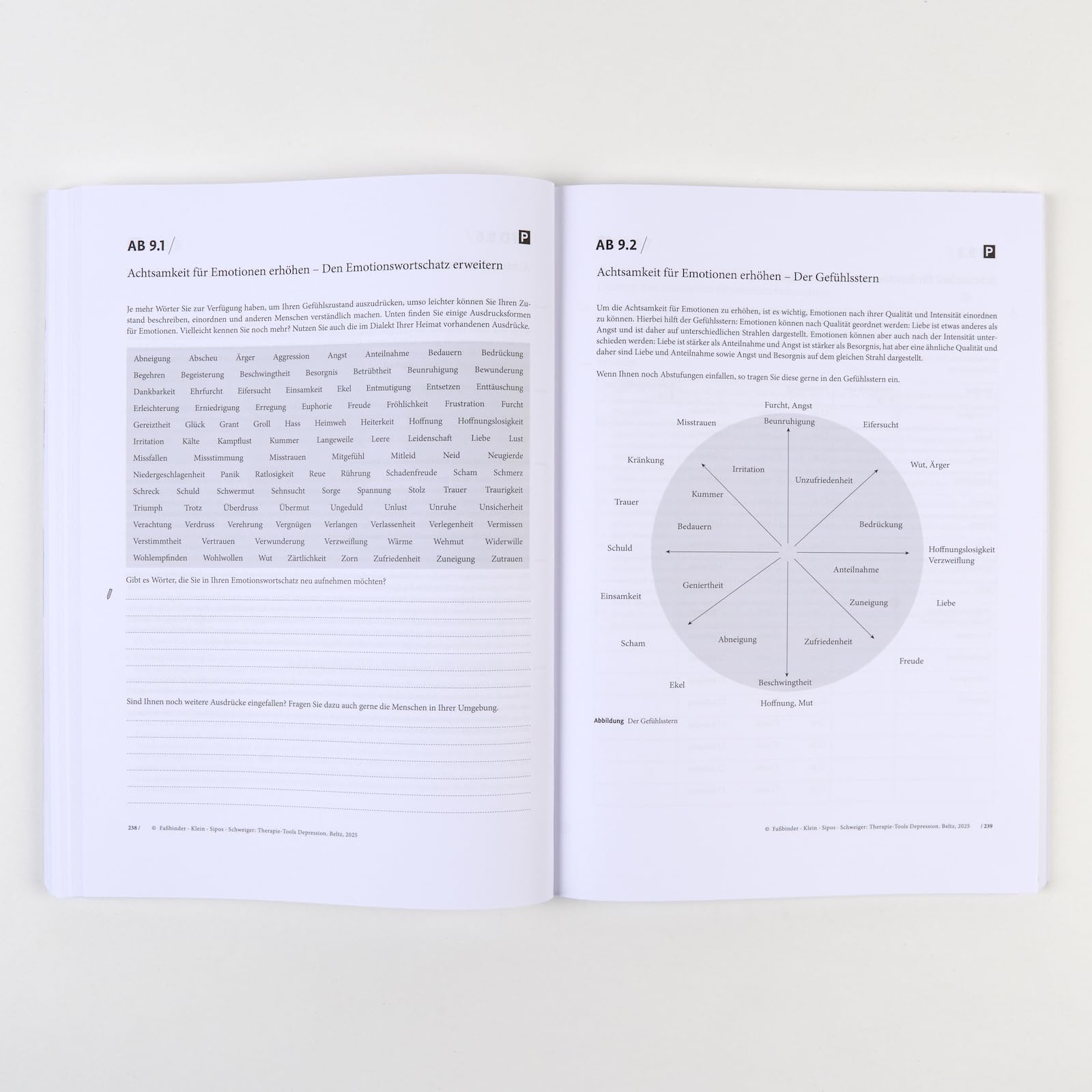 Therapie-Tools Depression: Mit E-Book inside und Arbeitsmaterial (Beltz Therapie-Tools)