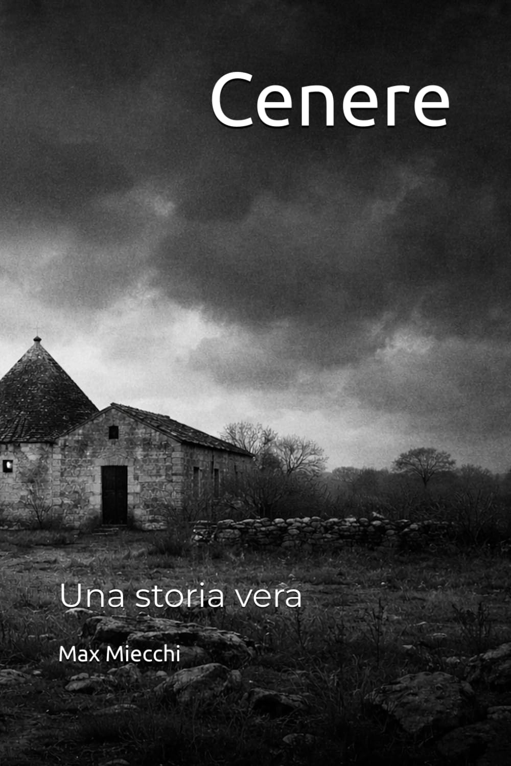 Cenere: Una storia vera (Romanzi)