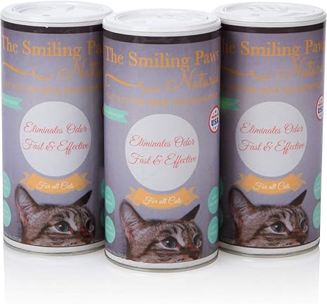 personalized slip leashes