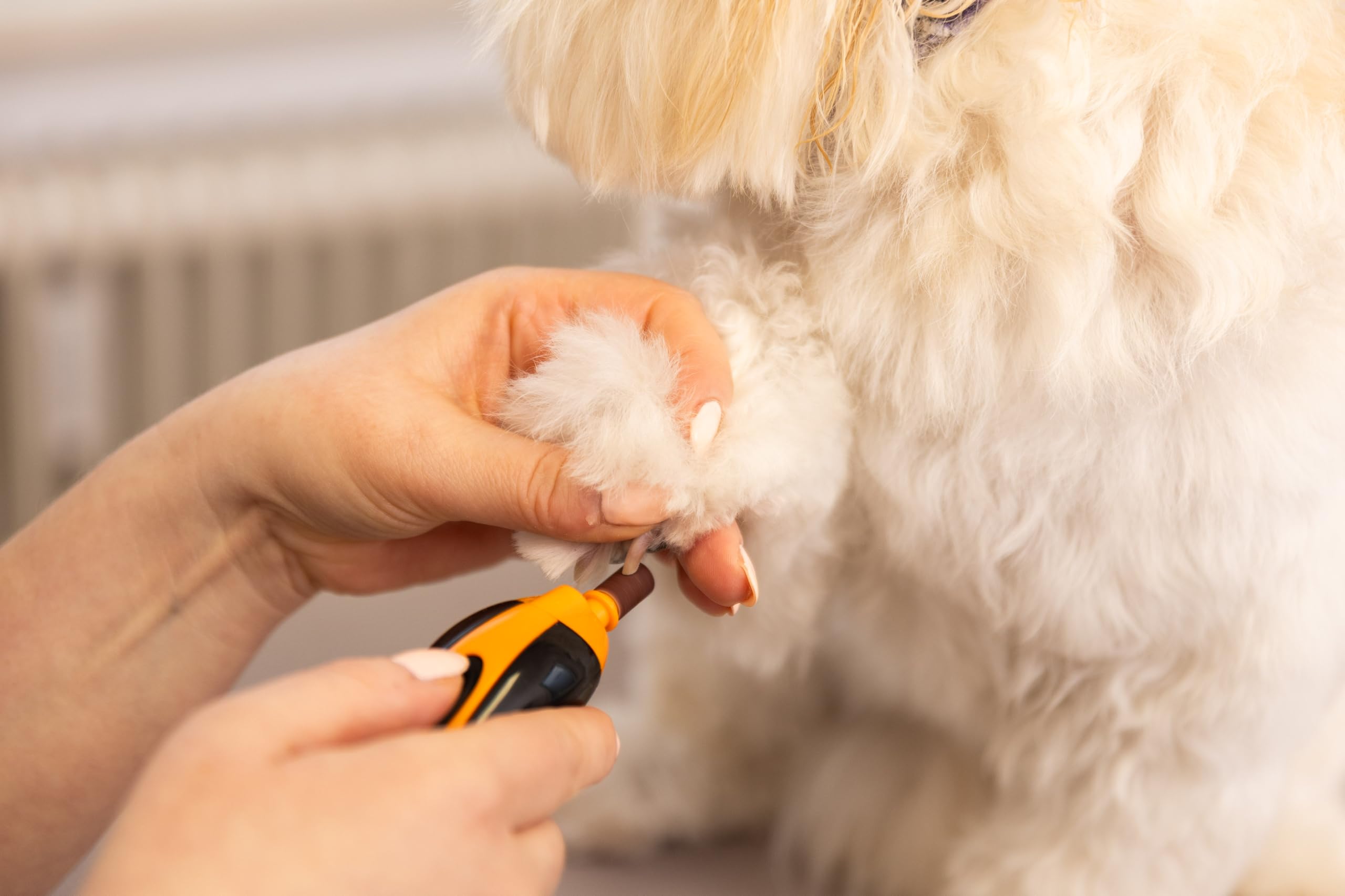 Wahl Pet Nail Grinder - Lima Unghie Animali Domestici, Lima per Unghie silenziosa e Leggera, 2 impostazioni di velocità, sicura e Delicata, Arancione