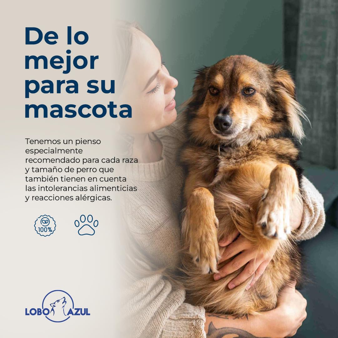 Pienso para Perros Adultos sin Cereales de Cordero Fresco - Alimento Natural e Hipoalergénico, Monoprotéico para Perros con Alta Actividad Física - Grain Free - 12kg - Lobo Azul Cordero