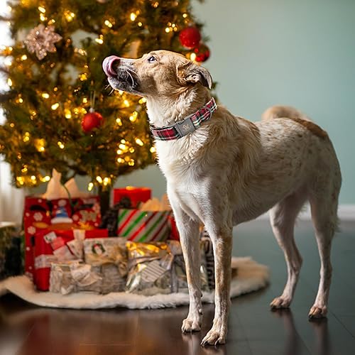 Miniatura 5 de Elegant little tail Collar para perro, collar de Navidad a cuadros rojos para mascotas, lindos collares para perros machos o hembras, regalo