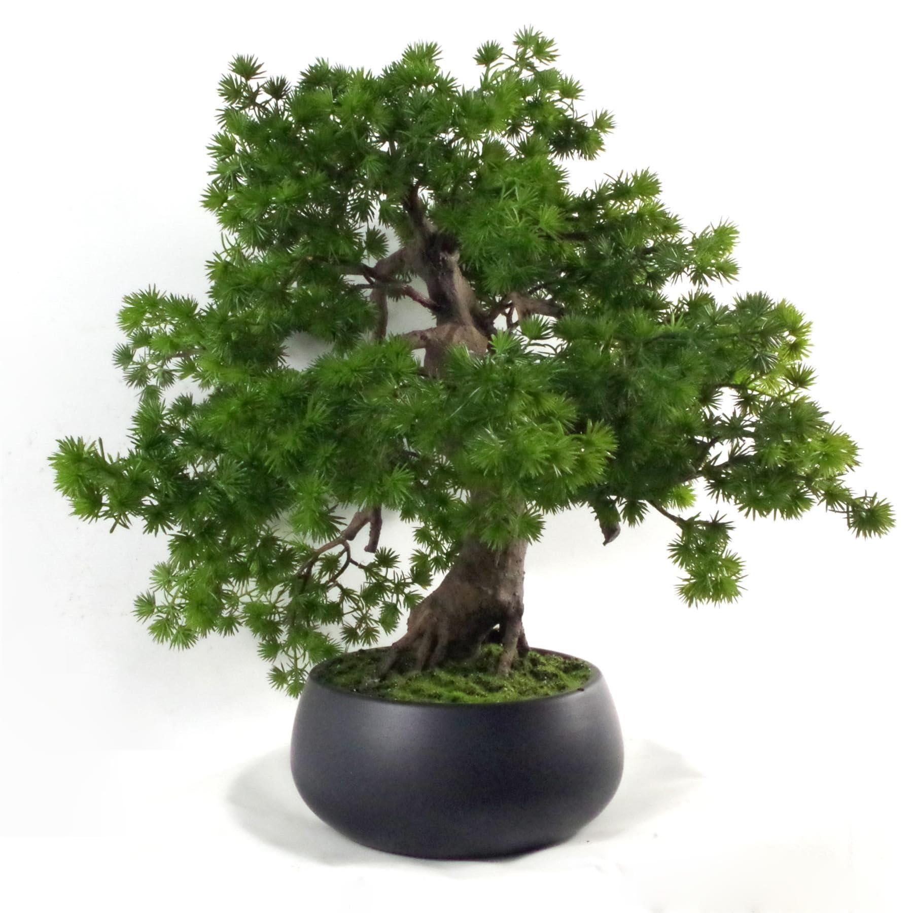 Leaf LEAF-7518 50cm Artificial Pine Bonsai Tree