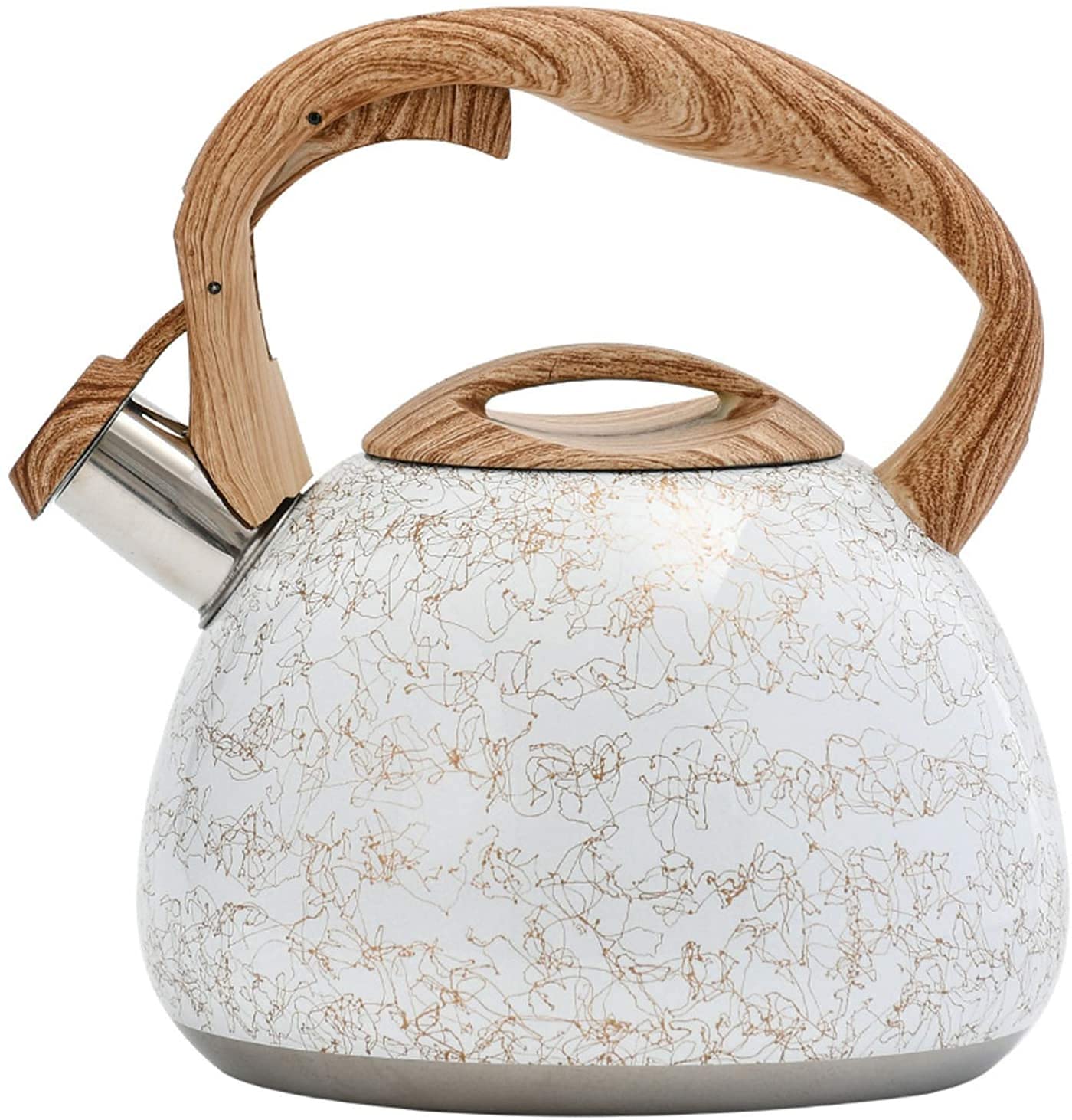 Théière en acier inoxydable SHISHI Kettle 2.8L bouilloire pour poêle de ménage