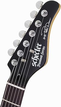 Schecter Electric Guitar - Pete Dee Artist Model