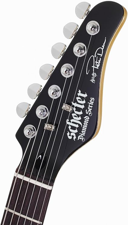 Schecter Electric Guitar - Pete Dee Artist Model