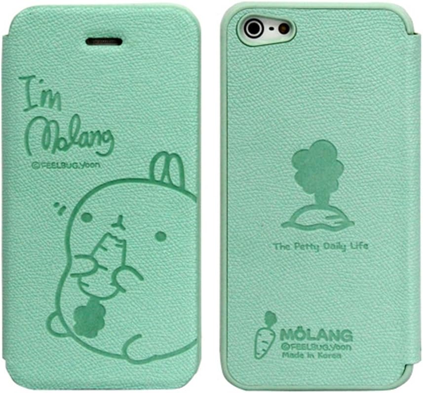 MOLANG Premium Leather Flip Case Cover For Apple iphone 5 5S (Mint)