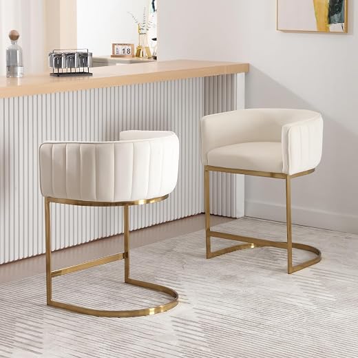 DM Furniture Modern Counter Height Metal Bar Stools Set of 2 for Kitchen Island 24" Velvet Upholstered Barrel Back Stool C...