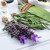 Vista 80 de Healing Solutions Joy Blend Essential Oil - 100% Pure Therapeutic Grade - 30ml - Aromatherapy Essential Oils