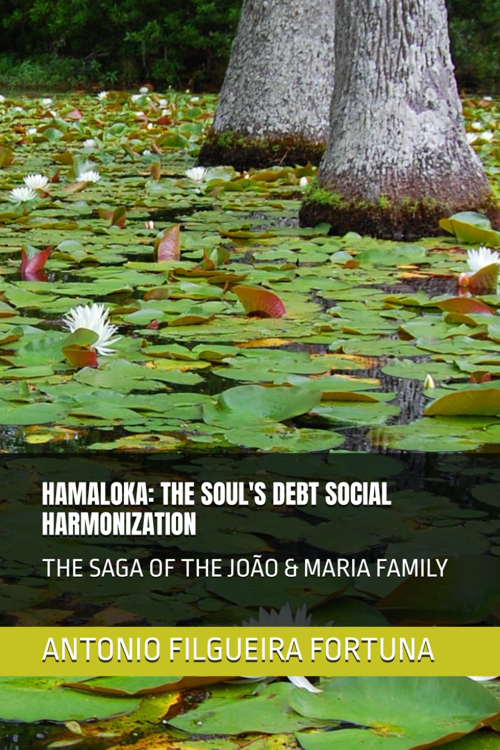 HAMALOKA: THE SOUL'S DEBT SOCIAL HARMONIZATION: THE SAGA OF THE JOÃO & MARIA FAMILY