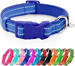 Reflective Dog Collar - Adjustable and Padded