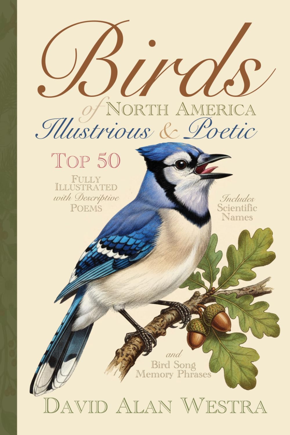 Birds of North America: Illustrious & Poetic