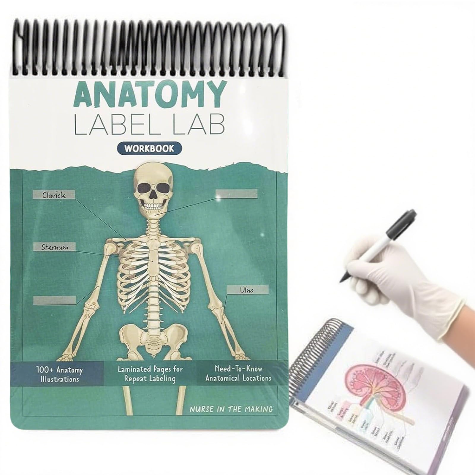 Cahier D'Exercices Anatomy Label Lab - 100+ Pages Effaçables, Anatomie Humaine Pour Étudiants, Infirmières, Médecins