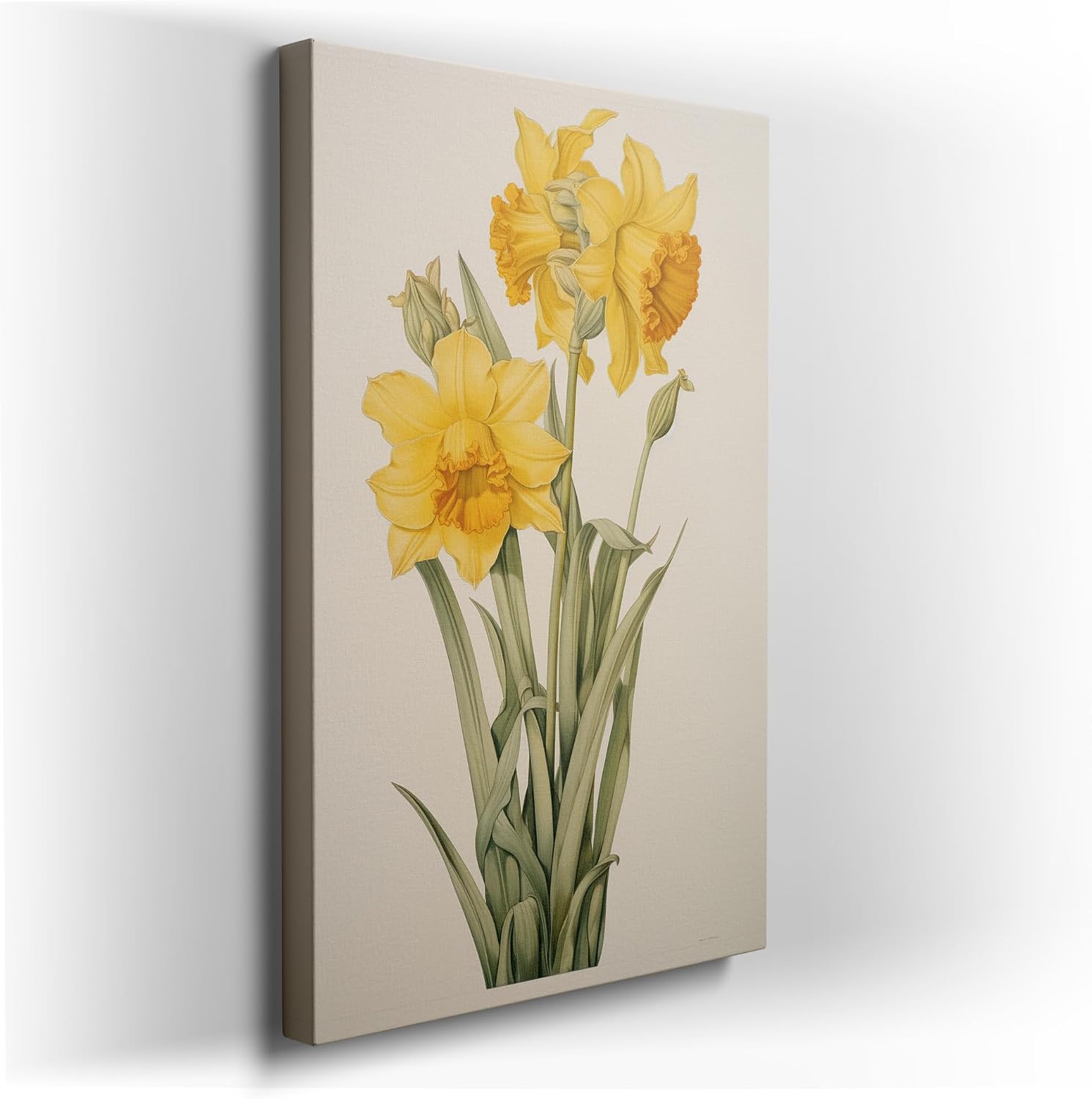 Canvas for Living room. Splendor in Simplicity � Three Vivid Daffodils Against Pristine White, 27 x 18 inch Canvas Wall Art - Contemporary Masterpieces - Modern Home Decor - 69x46 cm (27x18 inch)