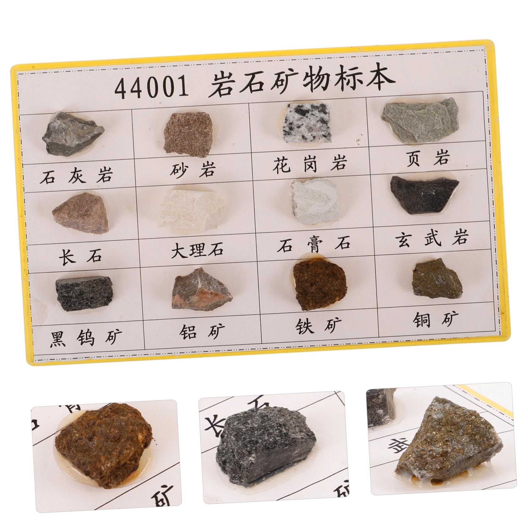 JEWEDECO 12 Pcs Mineral Rock Mineral Rock Specimen for Collection Plastic Rock Collection Rock Specimen for Geology Classroom Mineral Rocks