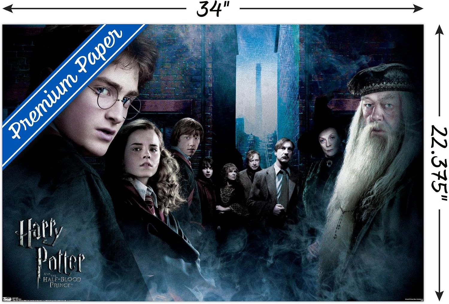 Trends International Harry Potter and the Half-Blood Prince - Fraternity Wall Poster, 22.375" x 34", Premium Unframed Version image 3