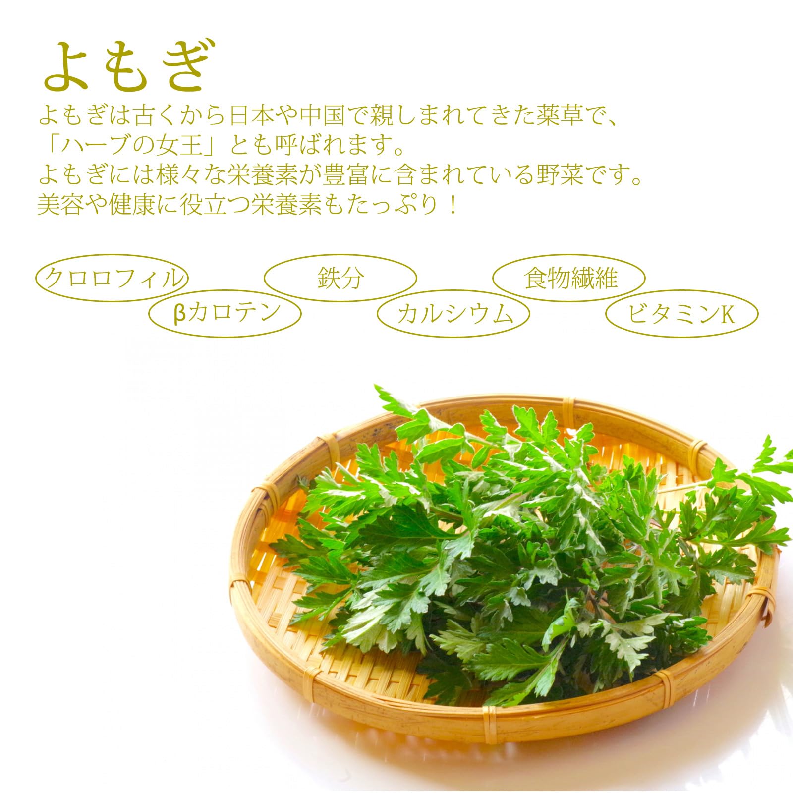 乾燥 よもぎ 100g 国産乾燥よもぎ 100g - もぐさ・お灸の製造販売【小林老舗 ネット