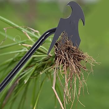 VOPPV Gardening Weed Puller Tool Weeding Artifact Uprooting Weeding Tool Manual Wee F4u2 6f416a8c D390 4b65 Bff6 C8baf786c54f.a1bfd270f83dd8586cf389b42e94fa98