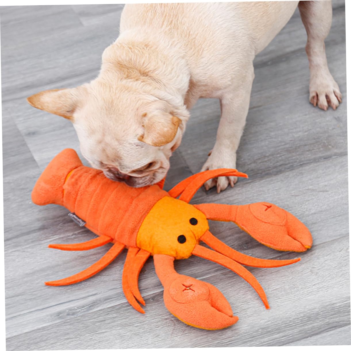 Angoily 3 Piezas Juguetes de alimentación de Mascotas Juguetes de Comida Juguete para la dentición Juguete para olfatear Perros Juguete para olfatear Mascotas Alimentar rapé