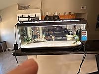 Review Image by Steve K Steve K