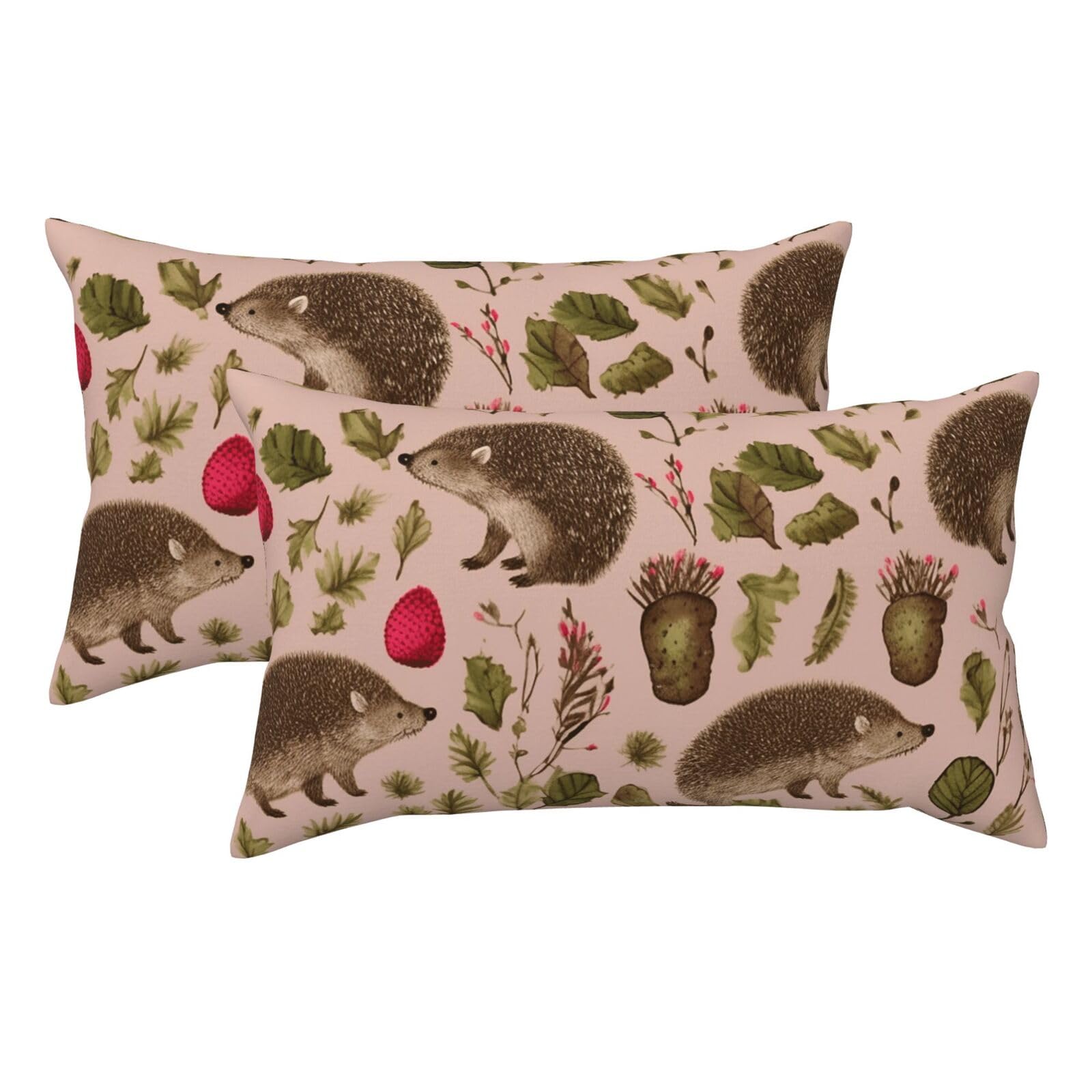 2 Pack King Size Pillow Cases for Hair and Skin Soft Breathable Pillow Case Covers with Hidden Zipper Hedgehog Print Pillowcase 20x36 Inches Pillow Covers for Sleeping Gift