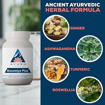 Ayush Herbs Boswelya Plus, Joint Care with Curcumin, 90 Servings