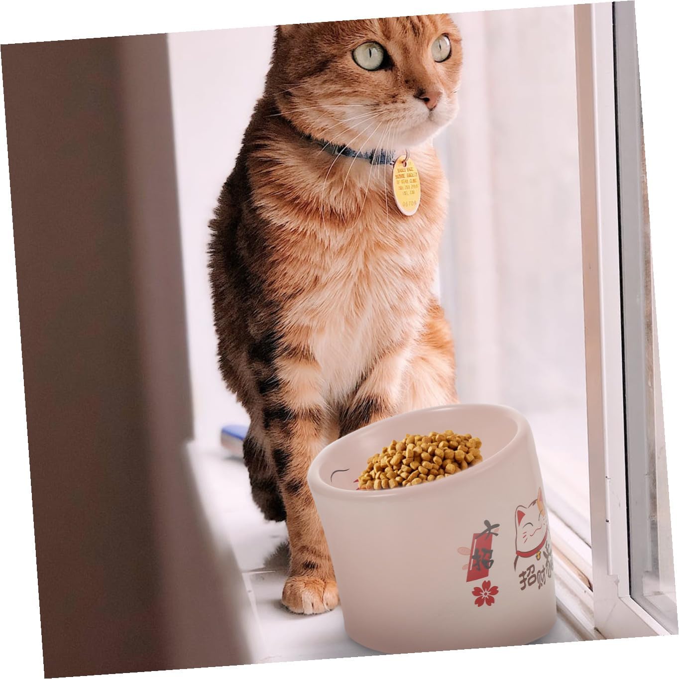 Ceramic Cat Feeding Bowl Anti-Overturn Raised Pink Pet Water Drinking Holder Elevated Kitten Food Dish for Indoor Cats