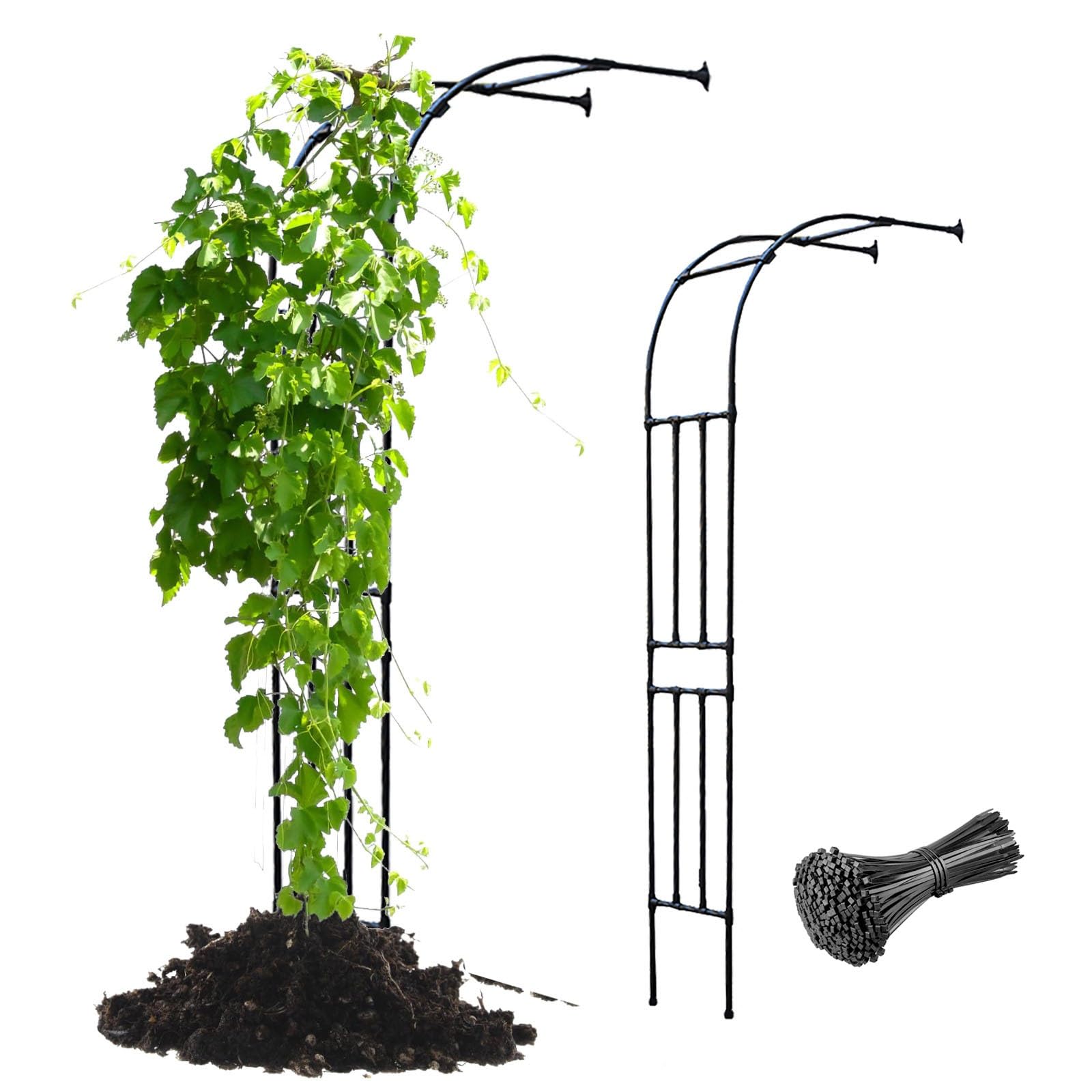 Arche de jardin réglable résolvant les problèmes de tuteurage trop étroit
