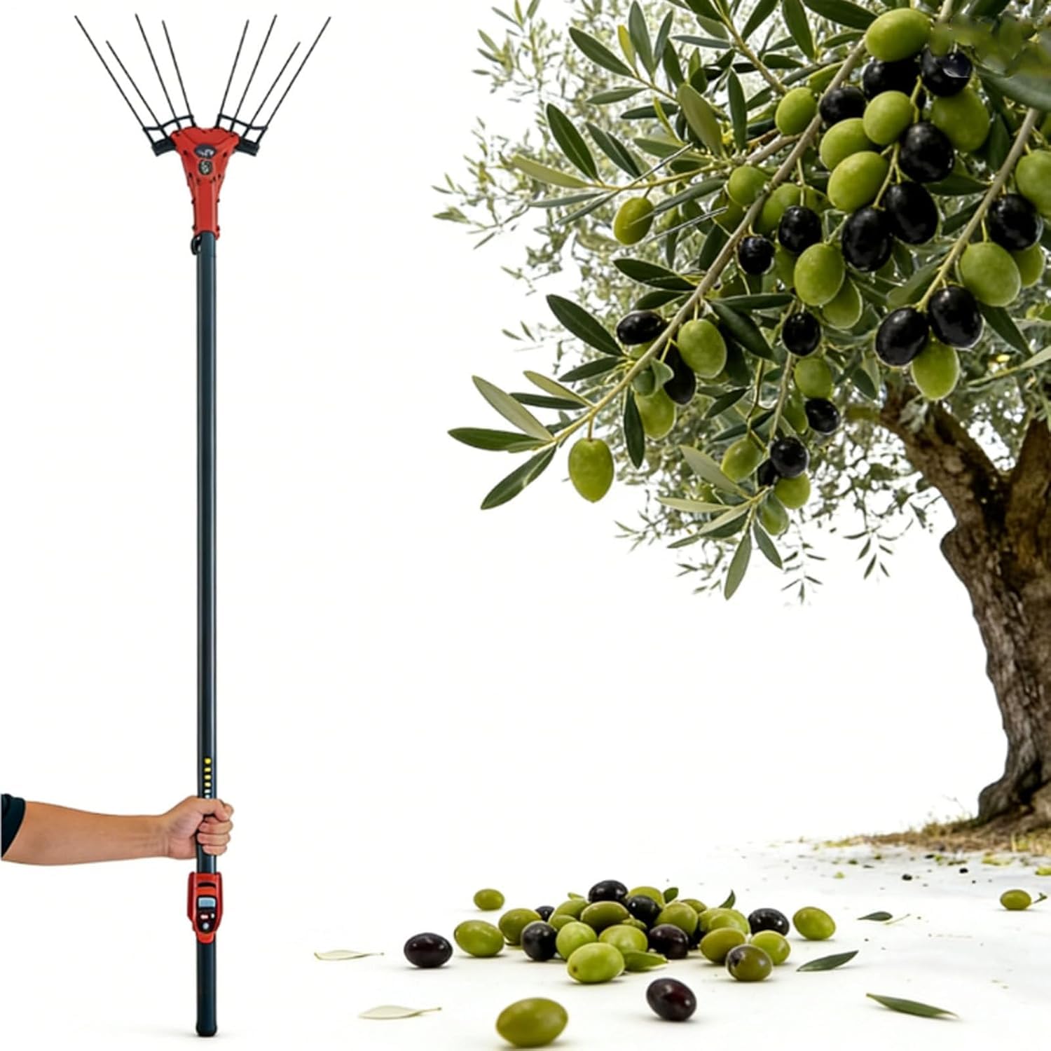 Recolector eléctrico de frutas, cosechadora telescópica de aceitunas de doble velocidad, agitador de árbol inalámbrico de 600 W con batería de mochila para una cosecha eficiente