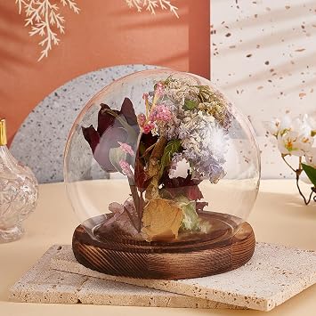 PH PandaHall Glass Cloche Dome Clear Globe Display Dome with Wood Base Decorative Glass Display Case for Plant Flower Stone Models Butterfly Display Home Party Decoration 4.7x4.5inch