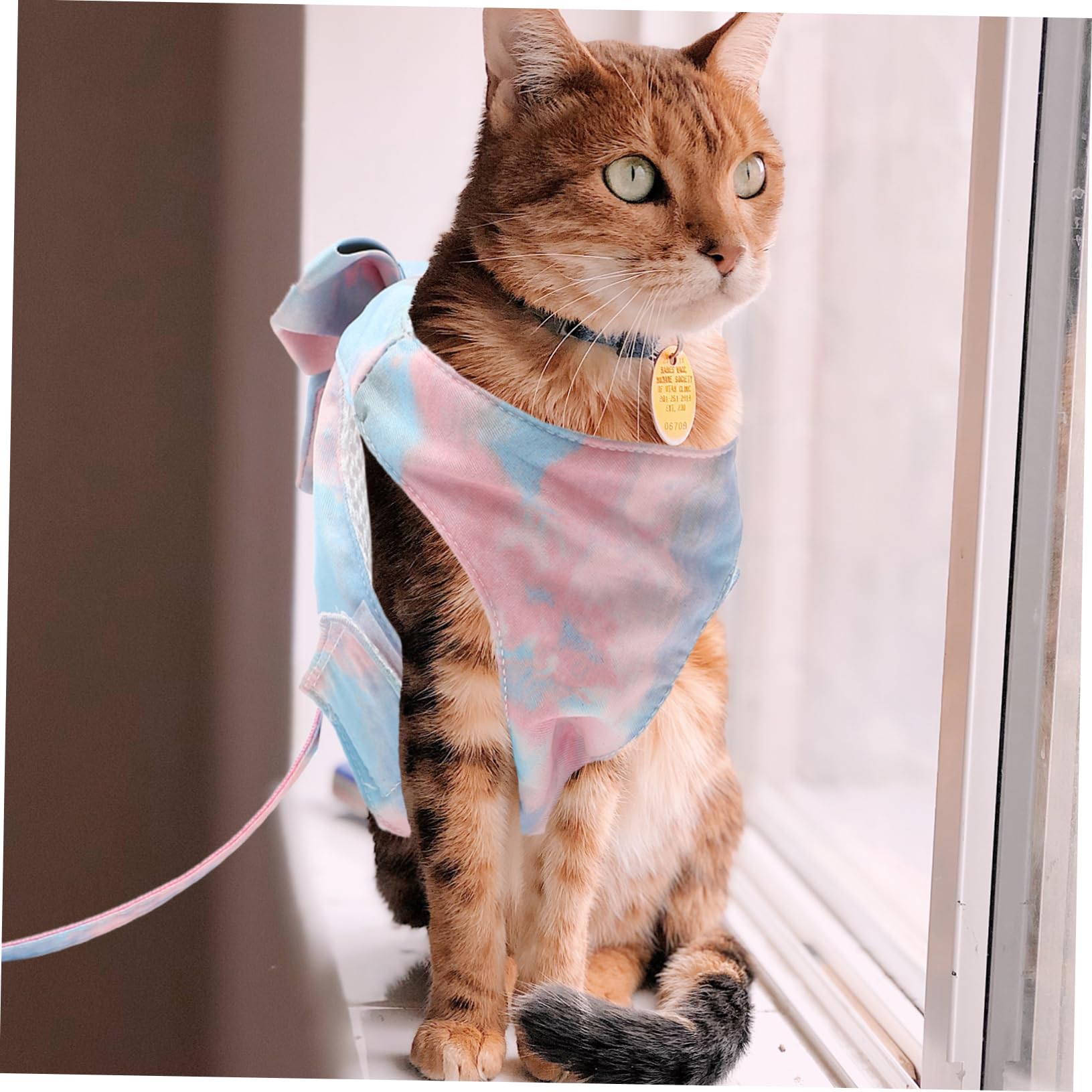 Sosoport Cat Chest Harness and Leash Bowknot Vest Leash Kit Easy to Use for Cat Walking and Jogging