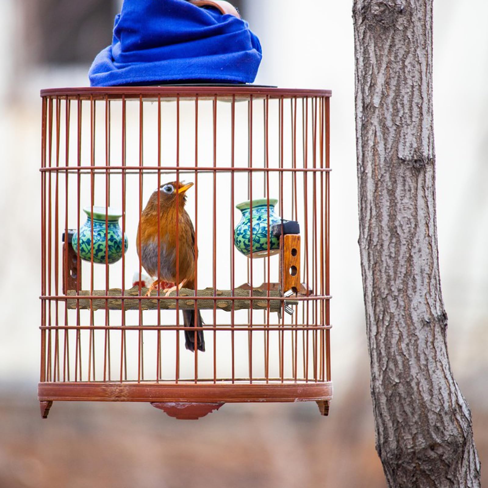 5 PCS Bird Perches Natural Wood CHUNLINLAODA-Parrot Perch Stand Set Budgie Perches Bird Perc/h Stand Toy Perc/h Accessories for Cage Bi/rd Cage Perch/es for Parrotlets (Original wood color - Image 4