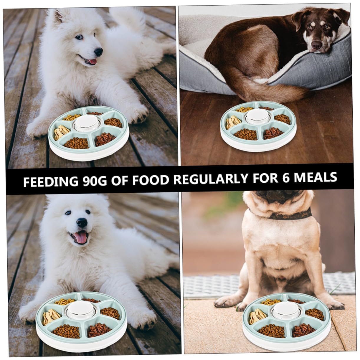 Comedero Automático Fácil de Limpiar y Ahorro de Espacio para Perros y Gatos 6 Comidas Programables Temporizador Inteligente Material Abs Verde Adecuado para Colocar Esquina