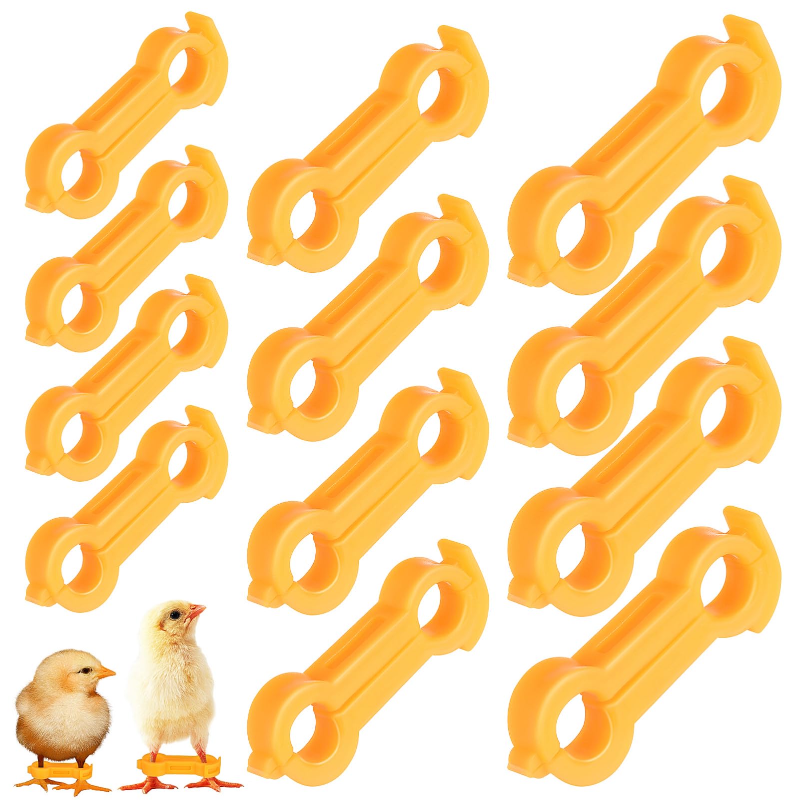ifundom 12pcs Chick Leg Stabilizer Baby Birds Splay Leg Correction Band Newborn Chicken Ties for 1-3 Days Old Newborn Chicks Birds