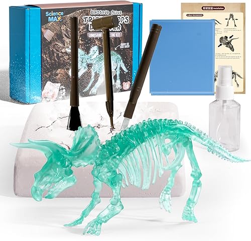 KidEwan - Kit de fósiles de excavación de dinosaurios para niños, kits de excavación de dinosaurios para niños, kits educativos de ciencia para