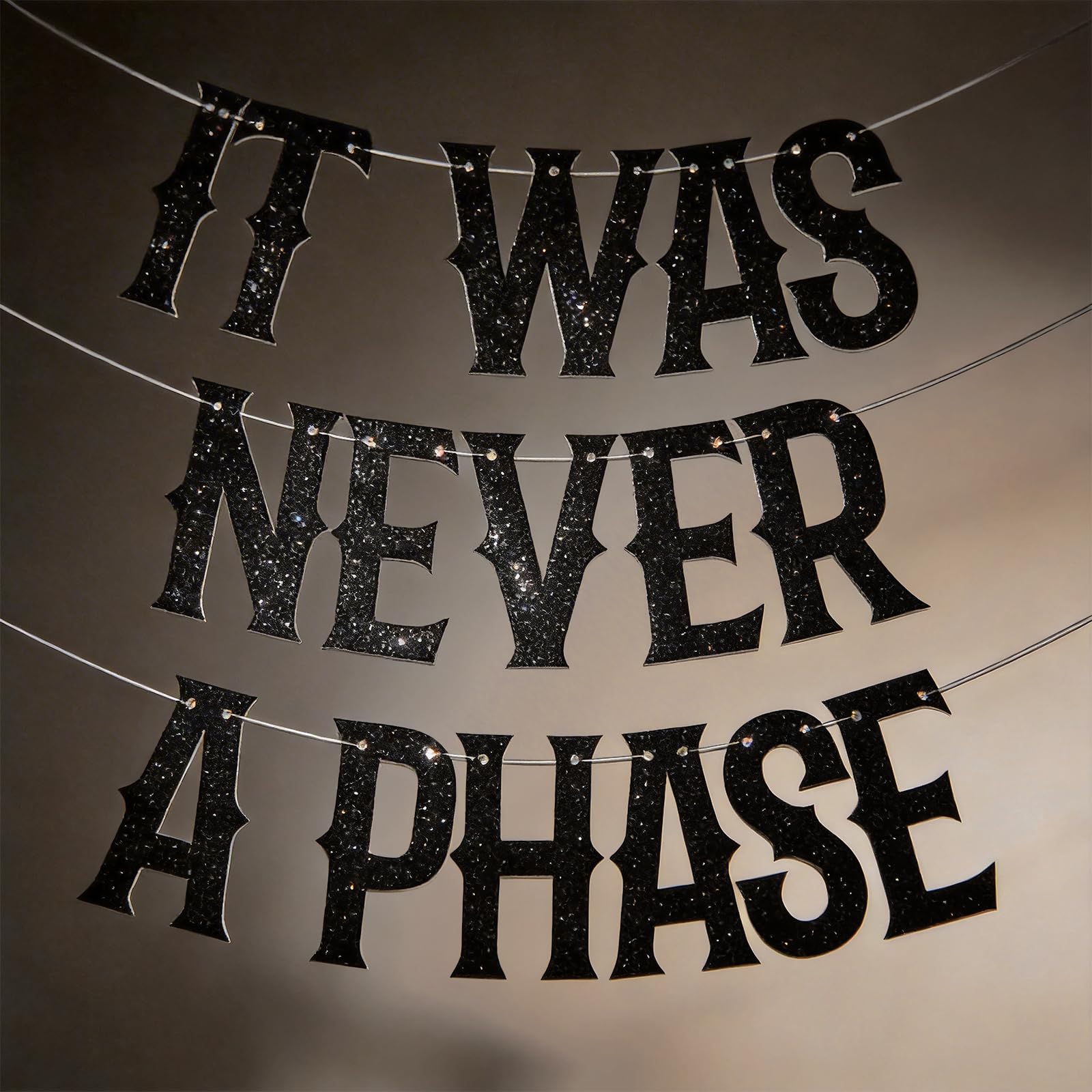 Gothic Banner - 'It Was Never A Phase' Black Letter Party Decor - Hanging Wall Decoration for Adult Goth Home & Events - 1 Piece