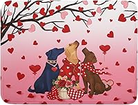 Vista 65 de Tapete de secado de platos con diseño de pájaro rojo de Feliz Navidad, absorbente y de secado rápido, protector para encimera de cocina, 18 x 24