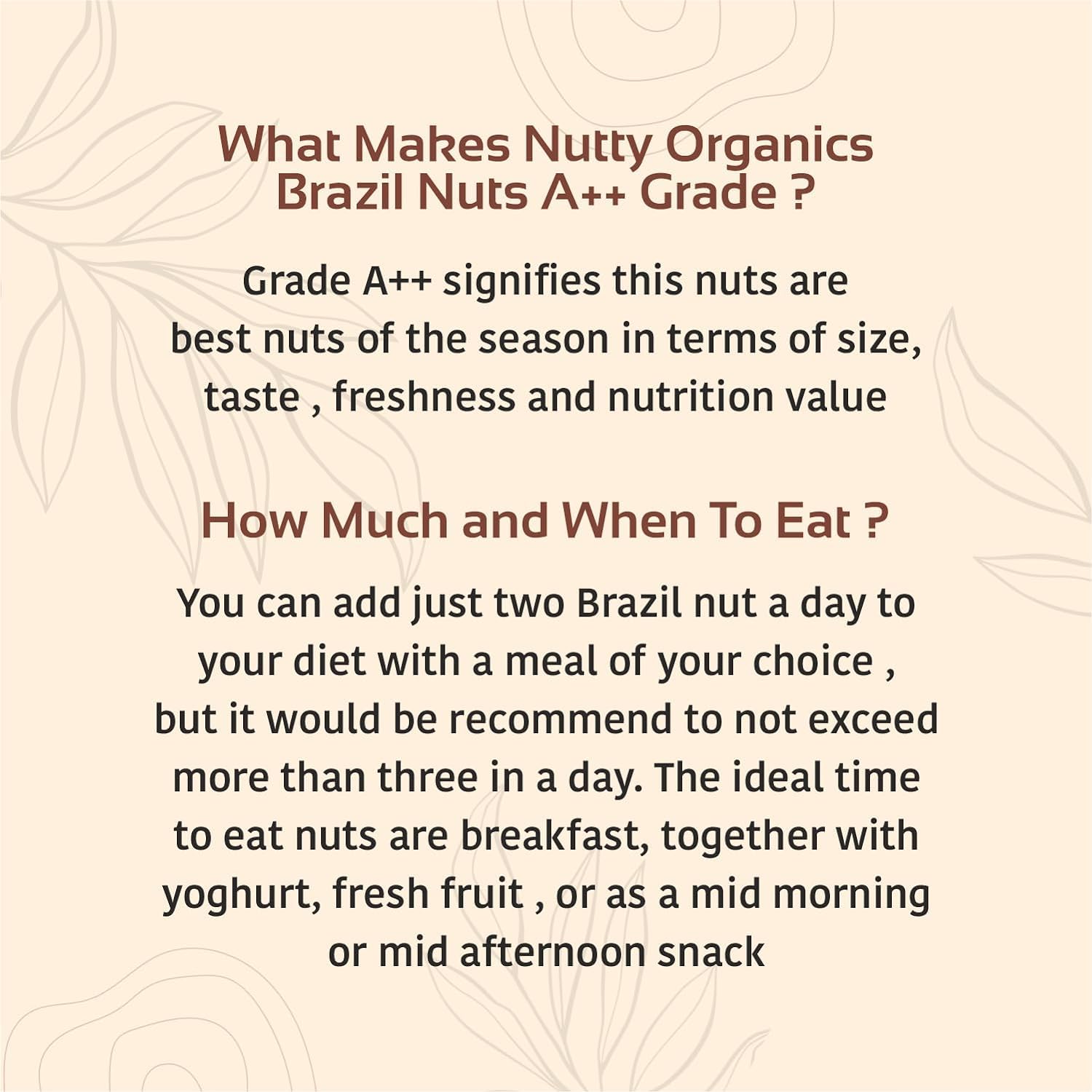NUTTY ORGANICS Brazil Nuts - 100G (Grade A ++ Nuts, Premium Jumbo Size) - Richest Natural Source Of Selenium - Image 3 thumbnail