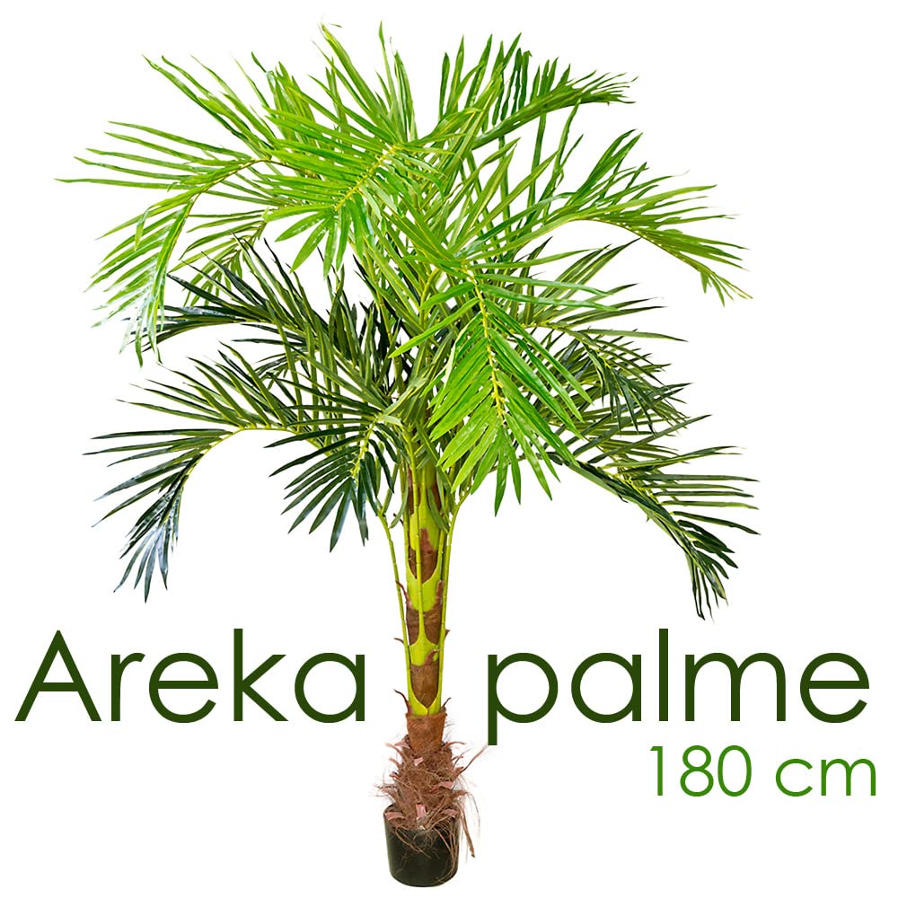 Decovego Palmizio Palma Artificiale Albero Pianta Artificiale Selezione, Selezione pianta di Palma:Palma Modello 3 (180 cm)