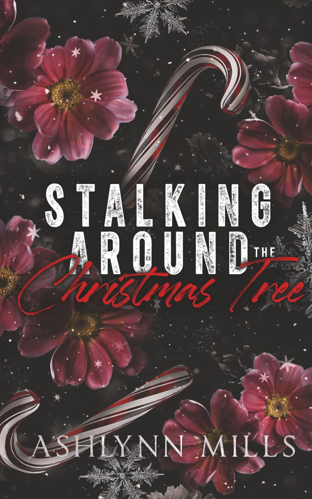 Stalking Around The Christmas Tree