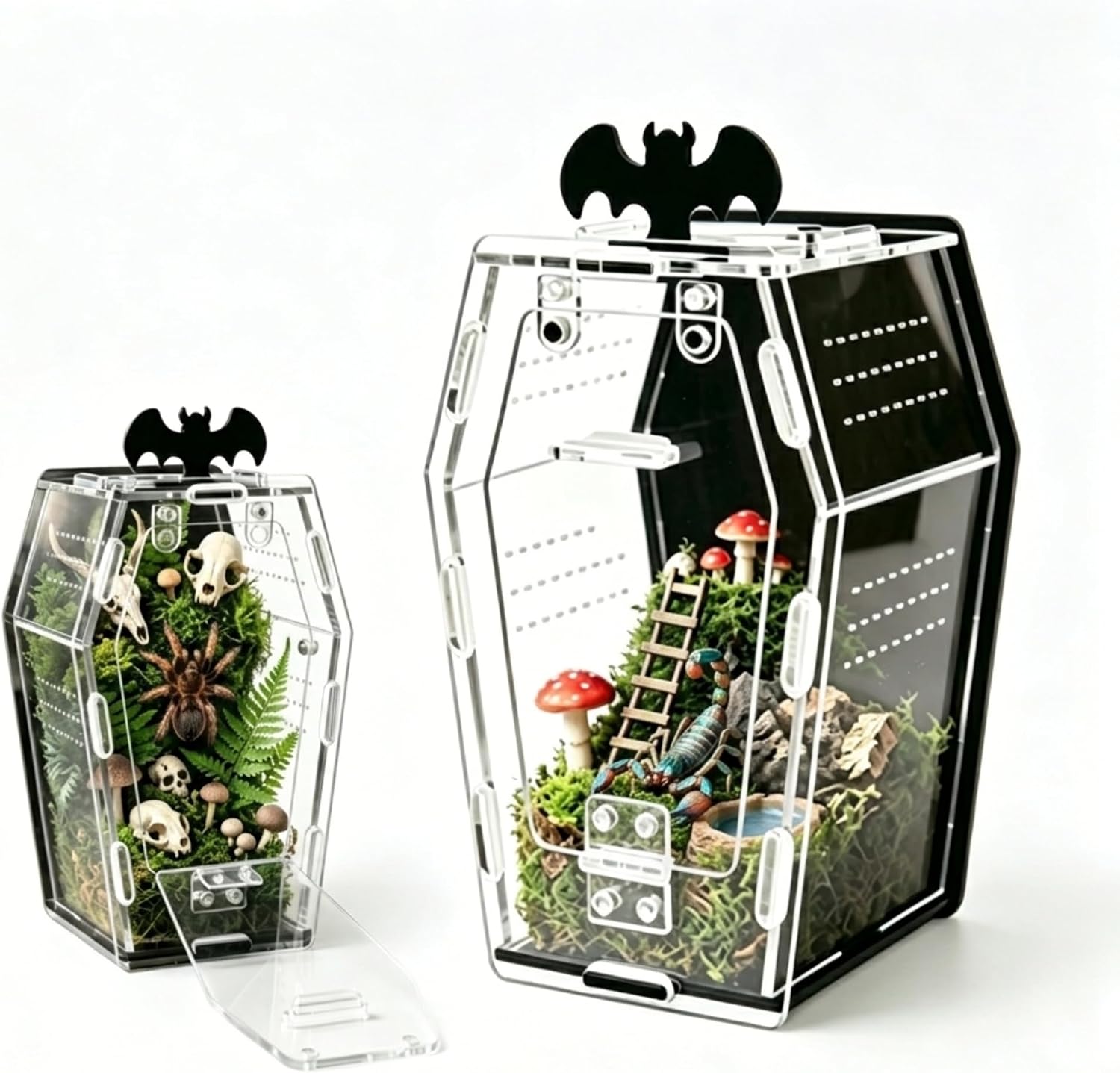 Acrylic Coffin Jumping Spider Enclosure Magnetic Lock Terrarium Kit | Clear acrylic with magnetic locks, feeding port, ventilation. For jumping spiders, tarantulas. 7.1-inch habitat, easy setup.