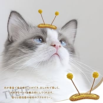 ネコちゃんと豆柴 ベビーヘアクリップ ヘアピン ヘアゴム 猫 犬 豆柴 動物 Amazon.co.jp: Rippem8 犬 ヘアピン ヘアクリップ ヘアゴム ヘア