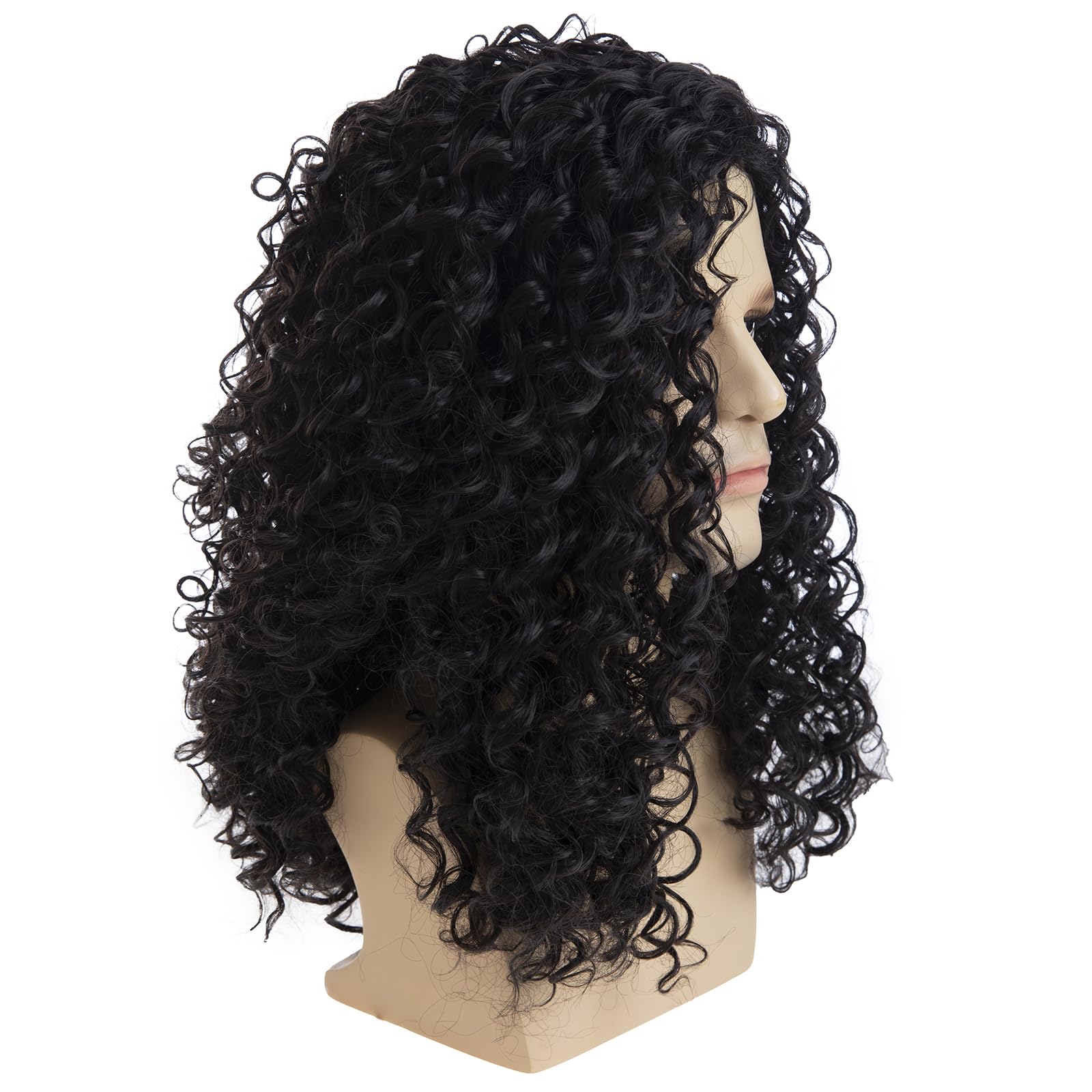 Amazon.com : Sallcks Mens Long Curly Black Wig Natural 