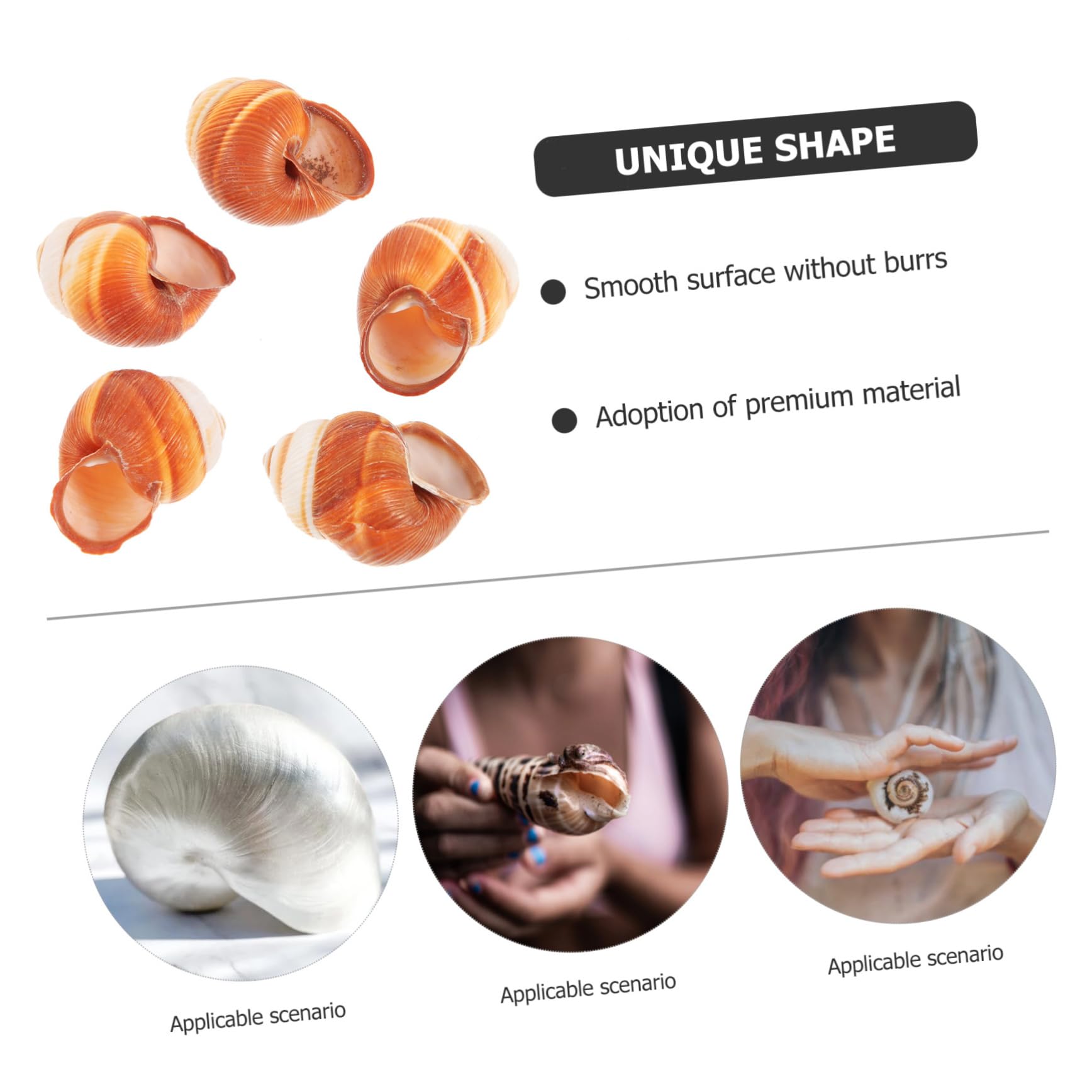 BESPORTBLE 15piezas Natural Escargot Shells para Cocinar Caracoles Al Horno Elegantes y Comestibles para Preparaciones Francesas Resistente y Práctico para Gastronomía
