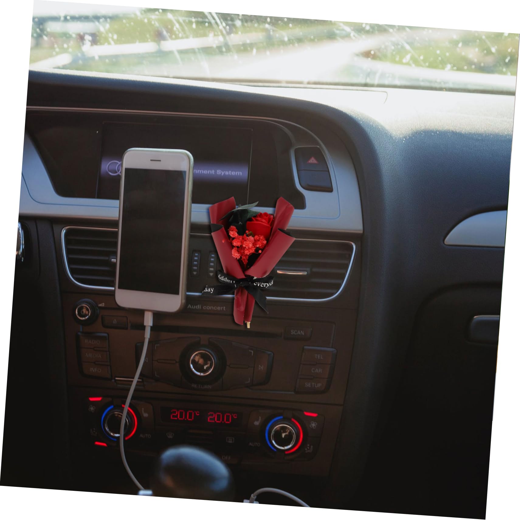 Gatuida 5pezzi Fioriera Per Auto Con Clip Aromatica Decorazione Interni Auto Con Fiori Secchi Profumazione Per Ufficio e Casa Accessorio Versatile Per Ogni Occasione