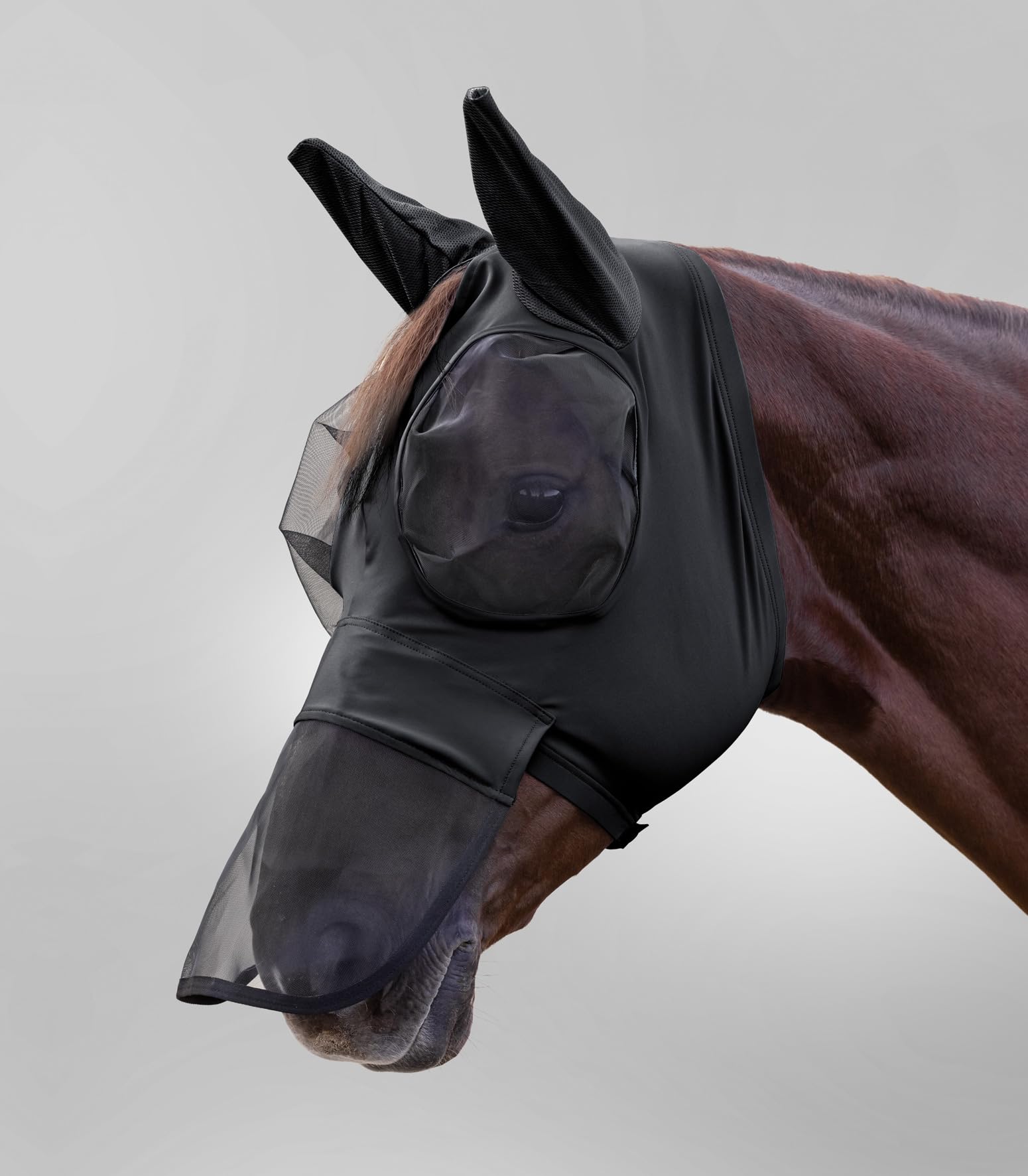 WALDHAUSEN VB - Maschera con protezione per il naso, colore: Nero