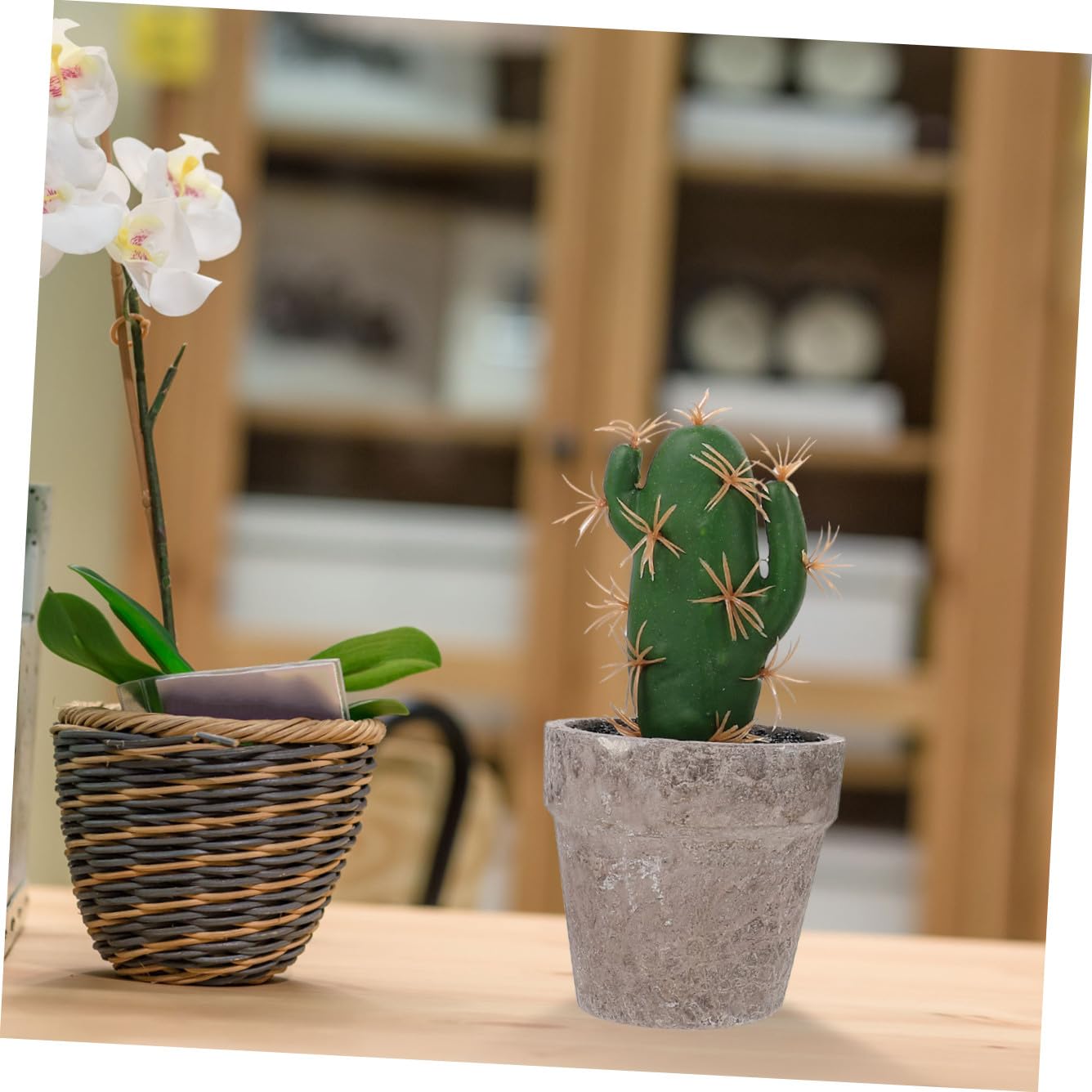 GARVALON Piante Grasse Artificiali per Ufficio e Soggiorno Aspetto Naturale Set 4 Pezzi in Vaso di Polpa e Plastica, Decorazione da Tavolo Verde e Facile Cura