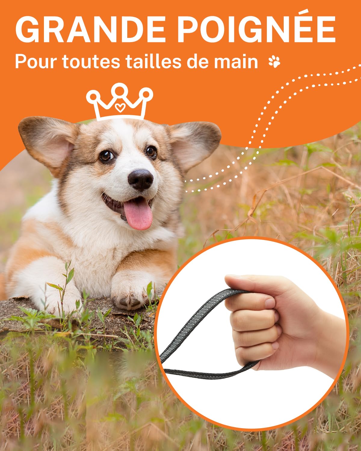 Toozey Lungo Guinzaglio per Cani Piccoli e Medi con Gomma Antiscivolo e Strisce Riflettenti, 5m 10m Lunghina Cane Addestramento in Nylon Morbido e Resistente, 10m x 2,0cm