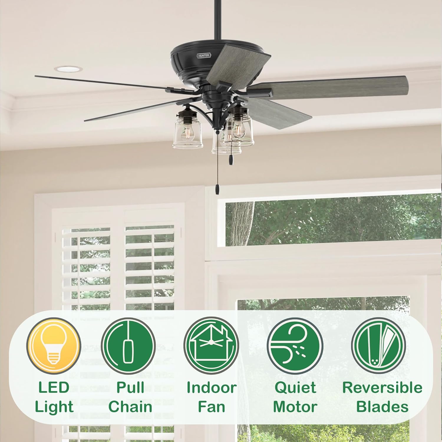 Hunter Fan 54 Inch Traditional Matte Black Finish Indoor Ceiling Fan With LED Light Kit and Pull Chain (Renewed)