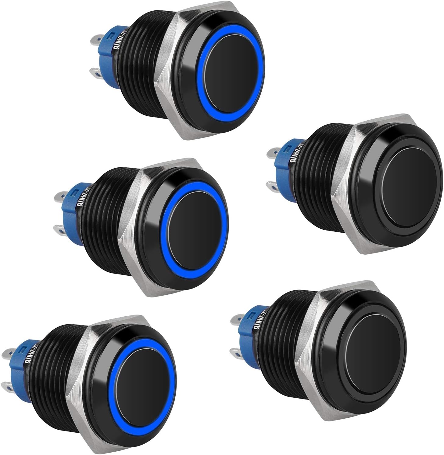 QitinDasen Premium 10 Voies Boîte à Fusibles avec Câbles, Porte-Fusible